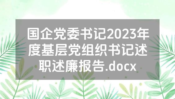 国企党委书记2023年度基层党组织书记述职述廉报告.docx