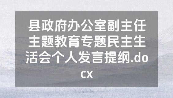 县政府办公室副主任主题教育专题民主生活会个人发言提纲.docx