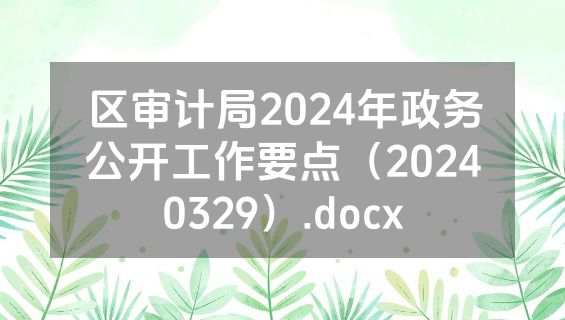 区审计局2024年政务公开工作要点（20240329）.docx