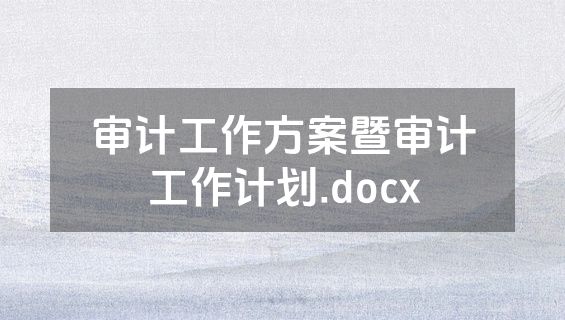 审计工作方案暨审计工作计划.docx