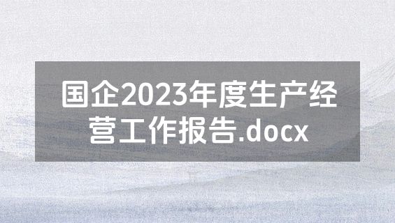 国企2023年度生产经营工作报告.docx