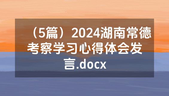 （5篇）2024湖南常德考察学习心得体会发言.docx