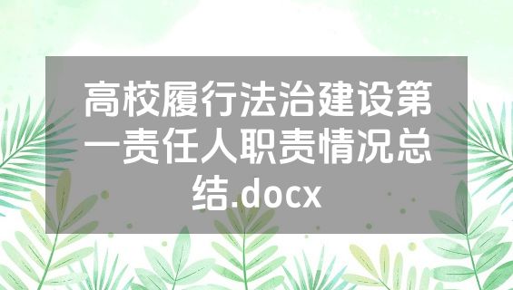 高校履行法治建设第一责任人职责情况总结.docx