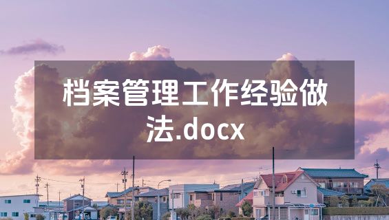 档案管理工作经验做法.docx