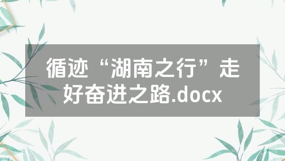 循迹“湖南之行”走好奋进之路.docx