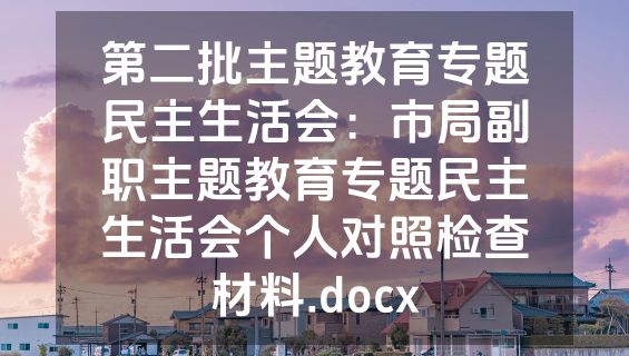 第二批主题教育专题民主生活会：市局副职主题教育专题民主生活会个人对照检查材料.docx