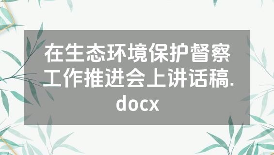 在生态环境保护督察工作推进会上讲话稿.docx