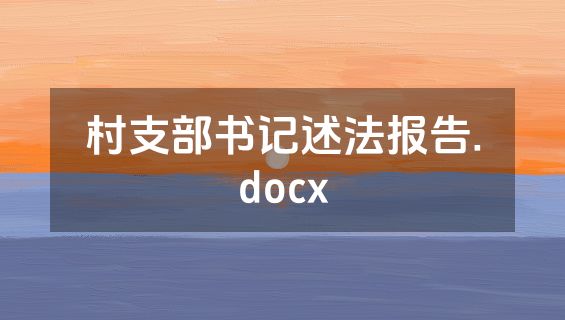 村支部书记述法报告.docx