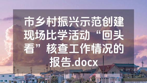 市乡村振兴示范创建现场比学活动“回头看”核查工作情况的报告.docx
