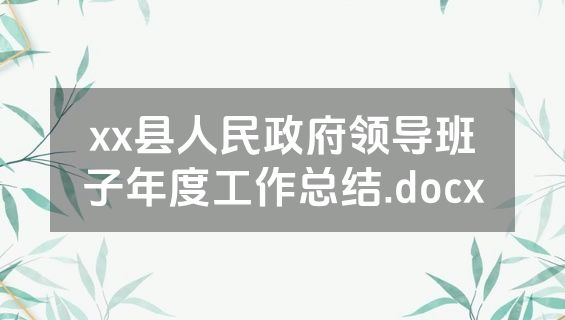 xx县人民政府领导班子年度工作总结.docx