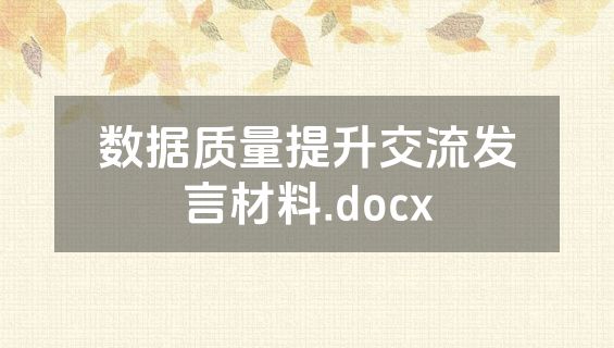 数据质量提升交流发言材料.docx