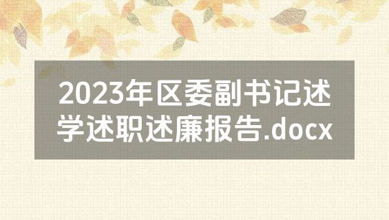 2023年区委副书记述学述职述廉报告.docx