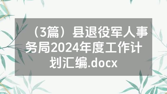 （3篇）县退役军人事务局2024年度工作计划汇编.docx