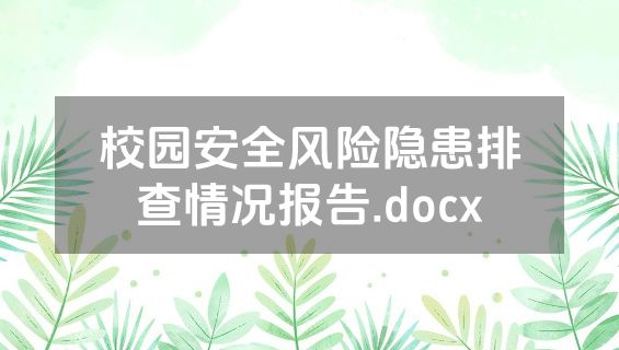 校园安全风险隐患排查情况报告.docx