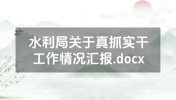 水利局关于真抓实干工作情况汇报.docx