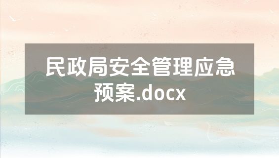 民政局安全管理应急预案.docx