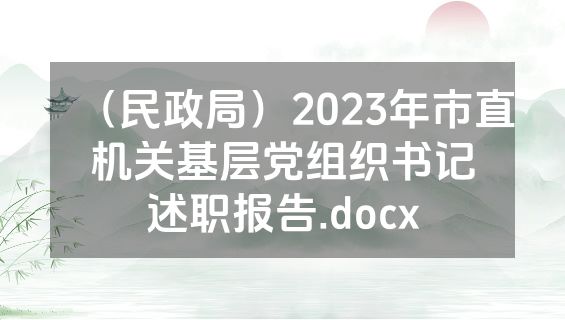（民政局）2023年市直机关基层党组织书记述职报告.docx