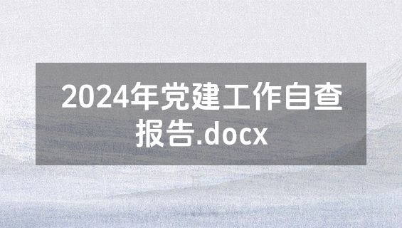 2024年党建工作自查报告.docx