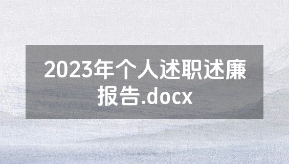 2023年个人述职述廉报告.docx
