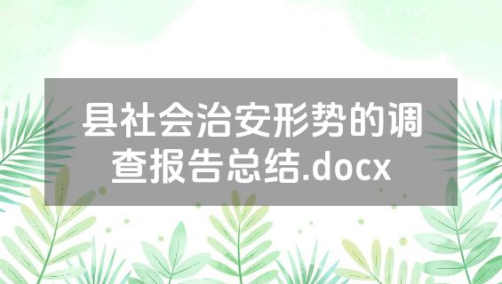 县社会治安形势的调查报告总结.docx