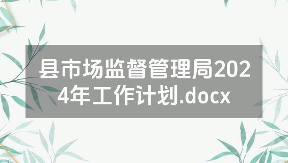 县市场监督管理局2024年工作计划.docx