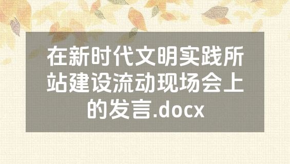 在新时代文明实践所站建设流动现场会上的发言.docx