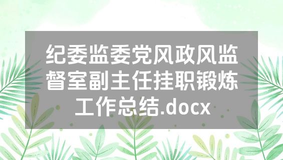 纪委监委党风政风监督室副主任挂职锻炼工作总结.docx
