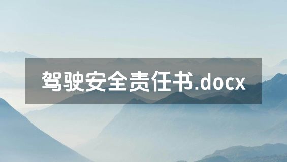 驾驶安全责任书.docx