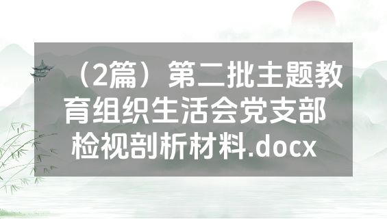 （2篇）第二批主题教育组织生活会党支部检视剖析材料.docx