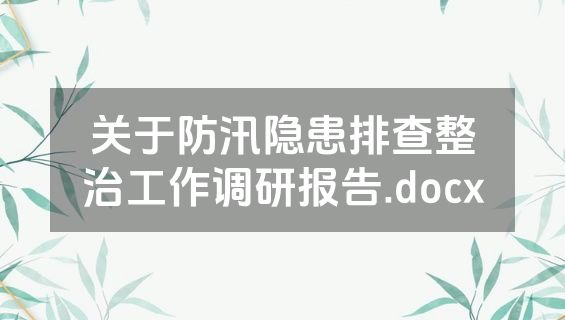 关于防汛隐患排查整治工作调研报告.docx