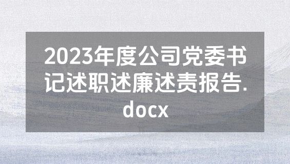 2023年度公司党委书记述职述廉述责报告.docx