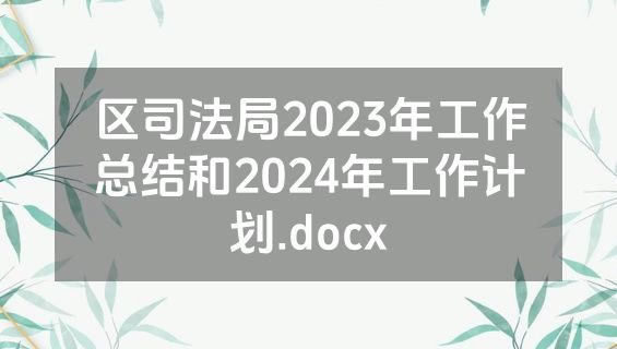 区司法局2023年工作总结和2024年工作计划.docx
