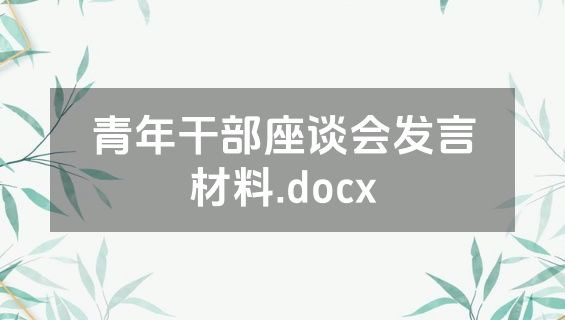 青年干部座谈会发言材料.docx
