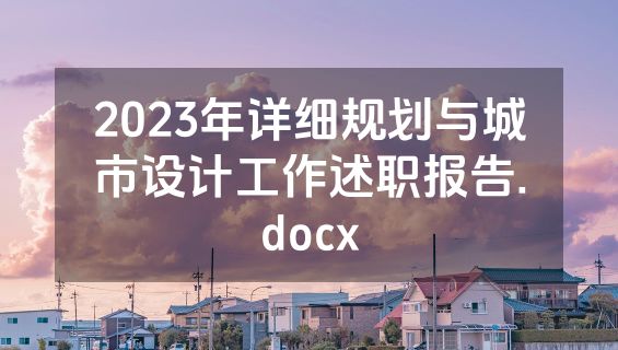 2023年详细规划与城市设计工作述职报告.docx