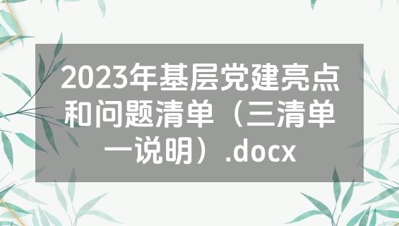 2023年基层党建亮点和问题清单（三清单一说明）.docx
