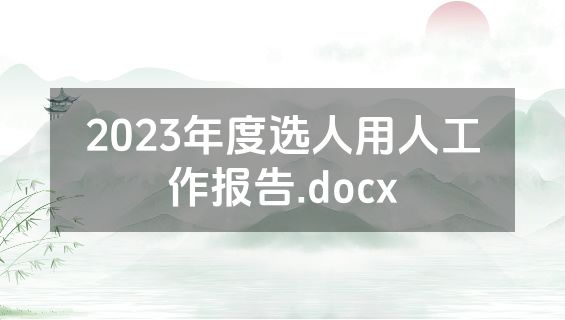 2023年度选人用人工作报告.docx
