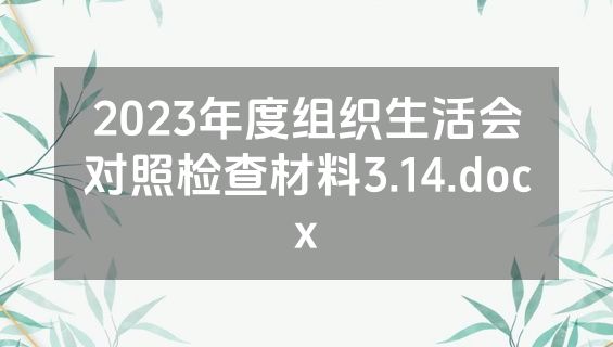 2023年度组织生活会对照检查材料3.14.docx