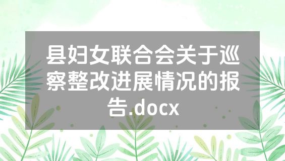 县妇女联合会关于巡察整改进展情况的报告.docx
