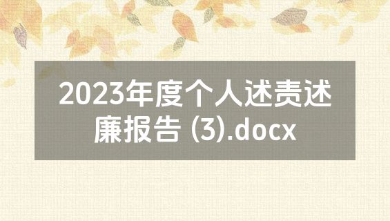 2023年度个人述责述廉报告 (3).docx