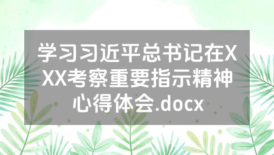 学习习近平总书记在XXX考察重要指示精神心得体会.docx