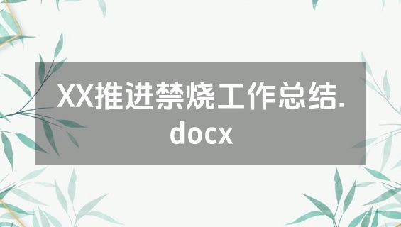 XX推进禁烧工作总结.docx