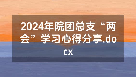 2024年院团总支“两会”学习心得分享.docx