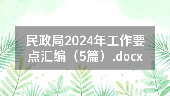 民政局2024年工作要点汇编（5篇）.docx