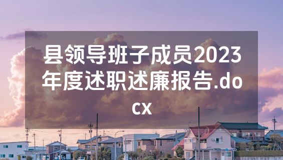 县领导班子成员2023年度述职述廉报告.docx