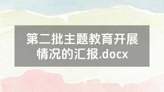 第二批主题教育开展情况的汇报.docx
