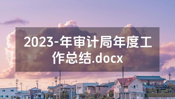 2023-年审计局年度工作总结.docx