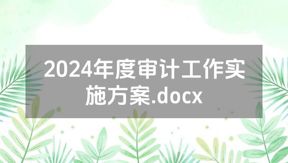 2024年度审计工作实施方案.docx