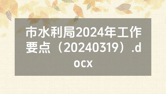 市水利局2024年工作要点（20240319）.docx