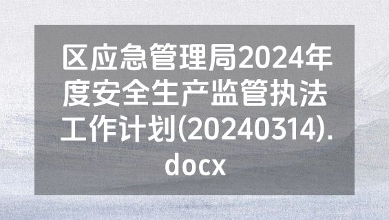 区应急管理局2024年度安全生产监管执法工作计划(20240314).docx