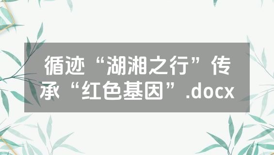 循迹“湖湘之行”传承“红色基因”.docx